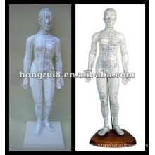 ISO Human Acupuncture Model, Deluxe Acupuncture Female Модель 48CM HR-502